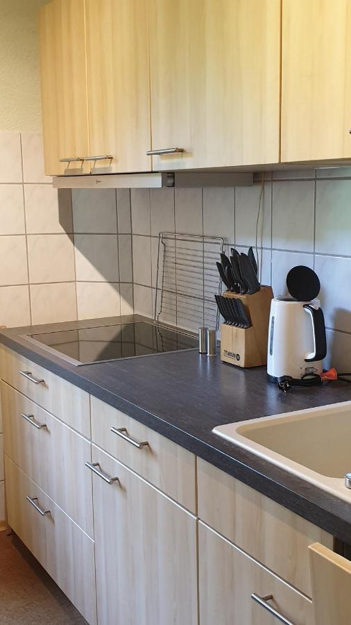 Ferienwohnung An Der Begerburg Dresden Dış mekan fotoğraf